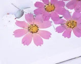 5PCS Real Pressed Dry flower, purple cosmos flower for art, DIY craft FCD41