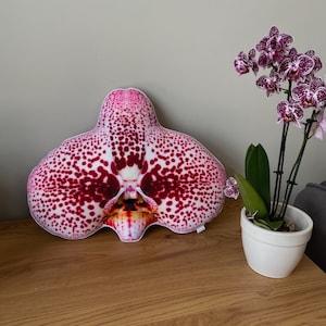 Orchid pillow / orchids / plant pillow / Phalaenopsis / Orchidaceae / orchid???e / flower houseplant / plant lover/ flower decor