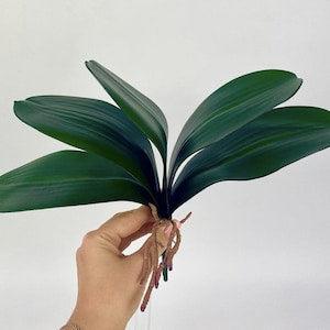 13" Real Touch Feel Orchid Leaves, Orchid Foliage, Orchid Arrangement Leaf, Faux Green Leaves for vase, Latex Plants Leaves Greenery
