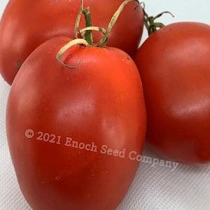 Amish Paste Tomato (Amish Heirloom, Paste Tomato, Non-GMO, Open Pollinated Seed - Min. 25 Per Pack. Medium to Large Tomato)