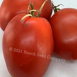Amish Paste Tomato (Amish Heirloom, Paste Tomato, Non-GMO, Open Pollinated Seed - Min. 25 Per Pack. Medium to Large Tomato)