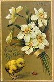 Antique Easter Greetings Postcard Chick and Ladybug Lily Flowers Embossed c1910