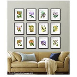 Orchid plant set of 12 botanical prints Tropical Decor, Botanical Print Set, Tropical Wall Art, Hawaiian Wall Decor, Flower gift for her