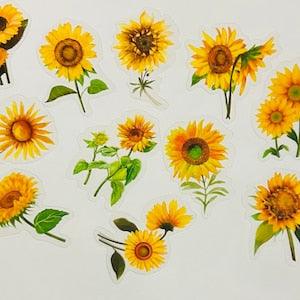 Sunflower Stickers - Translucent Floral Stickers - Assorted Flower Sticker Pack - Decorative Sticker - Bullet Journal - Scrapbook