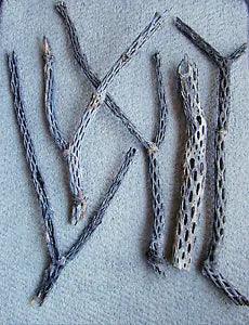 CACTUS SKELETAL WOOD FOR FLORAL ARRANGEMENT AND DECORATIVE USES