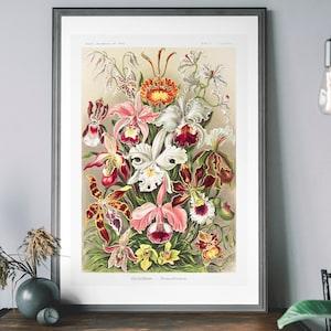 Vintage Flowers Art Print, Orchid Wall Art, Antique Botanical Decor, Floral Art Poster
