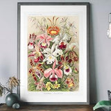 Vintage Flowers Art Print, Orchid Wall Art, Antique Botanical Decor, Floral Art Poster