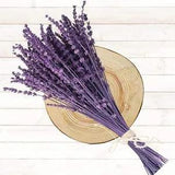 100+Stems Dried Lavender Flowers Bundle-Dried Preserved Lavender Purple-1.76oz