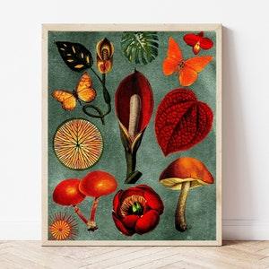 Burnt Orange & Teal Botanical Mushroom Art Print, Forest Painting, Monarch Butterfly Prints for Framing, Garden Poster, Boho Floral Wall Art