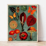 Burnt Orange & Teal Botanical Mushroom Art Print, Forest Painting, Monarch Butterfly Prints for Framing, Garden Poster, Boho Floral Wall Art