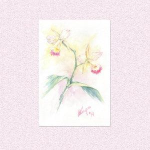 Orchid flower Watercolor painting, colorful blooming plant illustration art, floral yellow pink realistic artwork