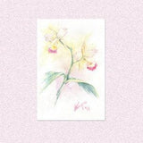 Orchid flower Watercolor painting, colorful blooming plant illustration art, floral yellow pink realistic artwork
