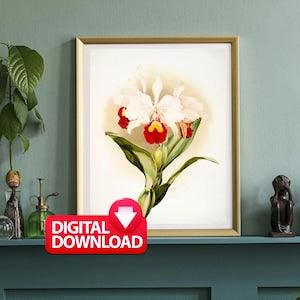ORCHID PAINTING, Orchids (1888-1894) by Frederick Sander, Vintage Orchid Wall Art Print, Orchid Lover Gift