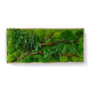 40" x 18" LARGE Plant Painting? - Red Branch - No Care Green Wall Art. Real Preserved Plants.