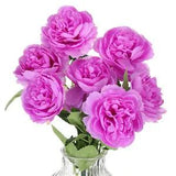Peonies Artificial Flowers, Fake Peonies Artificial Peony Home Decor, Purple