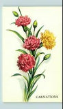 Postcard 10 garden favorites Carnations yellow & pink flowers