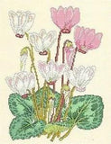 NIP Craftways 'Lily Cyclamen' Counted Cross Stitch Kit 8.25" X 12"