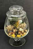 Vintage TERRARIUM Pedestal Jar Faux Dried Flowers DEER Birds NEST Eggs Diorama