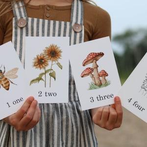 Counting Cards