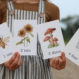 Counting Cards