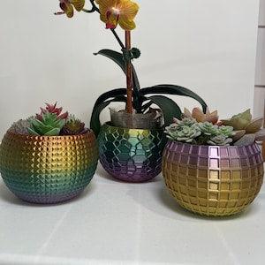 Textured Indoor Planters, Ornate Plant Pots, Decorative Succulent Planters