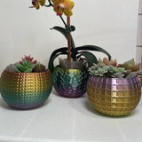 Textured Indoor Planters, Ornate Plant Pots, Decorative Succulent Planters