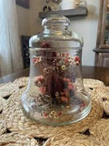 Mid Century Modern Dried FLowers Glass Terrarium Cloche 7X6 Boho Autumn Fall