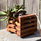 208. Salvaged Sapele Wood Hanging Basket Planter for Orchids, Bromeliads, Ferns, Cacti, Other Epiphytes and Succulents