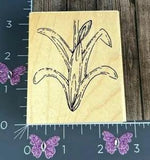 CTMH Co. Bulbs In Bloom Line Art Plant Rubber Stamp Lily Spring Garden #F68
