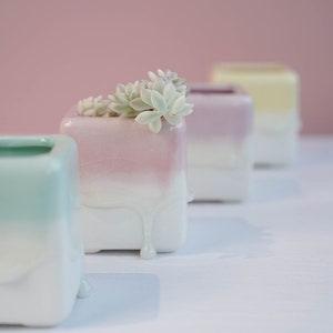 Ceramic Planter With Drainage Hole/(1 POT)/Cactus Succulent Plant Pot/Small Fern Flower Pot Gift Garden Desk Decoration