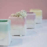 Ceramic Planter With Drainage Hole/(1 POT)/Cactus Succulent Plant Pot/Small Fern Flower Pot Gift Garden Desk Decoration