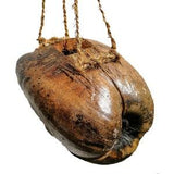 Coco husk basket | Coconut husk hanging pot | Outdoor/Indoor hanging pots | Wall planter | Garden Planter basket