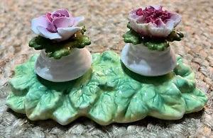 Aynsley English Fine Bone China Pink Rose & Carnation Salt & Pepper Shaker Set