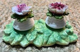 Aynsley English Fine Bone China Pink Rose & Carnation Salt & Pepper Shaker Set