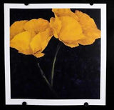 Charles Belle - Ranunculus Flowers, 1993 - 1997  - Offset Poster - Publ. by N.I.
