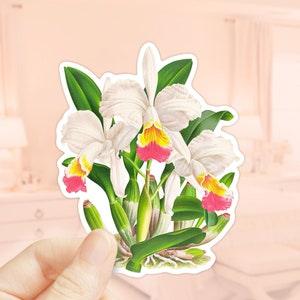 Orchid Sticker, Cattleya kimballiana Sticker, Die Cut Sticker, Water Bottler Sticker, Laptop Decal, Vinyl Sticker, Plant Stickers