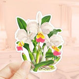 Orchid Sticker, Cattleya kimballiana Sticker, Die Cut Sticker, Water Bottler Sticker, Laptop Decal, Vinyl Sticker, Plant Stickers