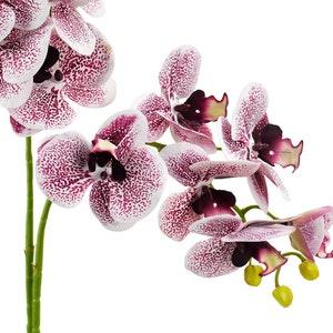 27.6" Real Touch Artificial Butterfly Orchid/Moth Orchid/Phalaenopsis Flowers 70cm (27.6 inches) Light Magenta 2 Stems