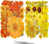 81PCS Orange Yellow Dried Pressed Flowers for Resin -  Real Nature Flowers Herb