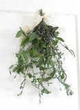 Hanging Dried Flowers -One Large Bunch Sweet Pea Vines and Flowers (Non-Edible)