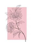 Peony Flower Peonies PREMIUM POSTER FILM PRINT HIGH QUALITY Thick paper