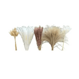 150PCS Pampas Grass Boho HomeDecor Dried Flowers-Pampas Grass Contains Bunny WV2