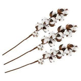 3pcs 10 Bolls Natural Cotton Stems Kapok Dried Flower Wedding Party Home