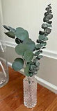Dried Eucalyptus Flower Arrangement, Dried Eucalyptus With Vase, Centerpieces