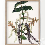 Floral Art Print, Flower Wall Art, Boho Art, Vintage Floral, Women Bedroom Decor, Botanical Plants, A2 A3 50x70 18x24 24x36 - 34
