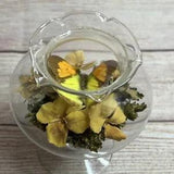 Glass Display Dried Flowers Taxidermy Butterfly  Spring Vintage Candle Holder