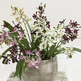 Artificial Cymbidium with Foliage and Root, Fake Vanda Orchid Plant, Chinese Home Bonsai Floral Arrangement, Party Flower Table Centerpiece
