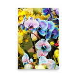 Colorful Orchids Photography Statement Poster Home D???cor