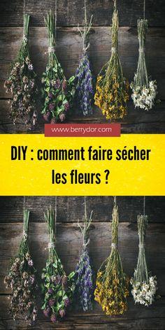 DIY : comment faire s??cher les fleurs?? Flower Delivery