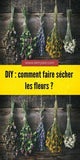 DIY : comment faire s??cher les fleurs?? Flower Delivery